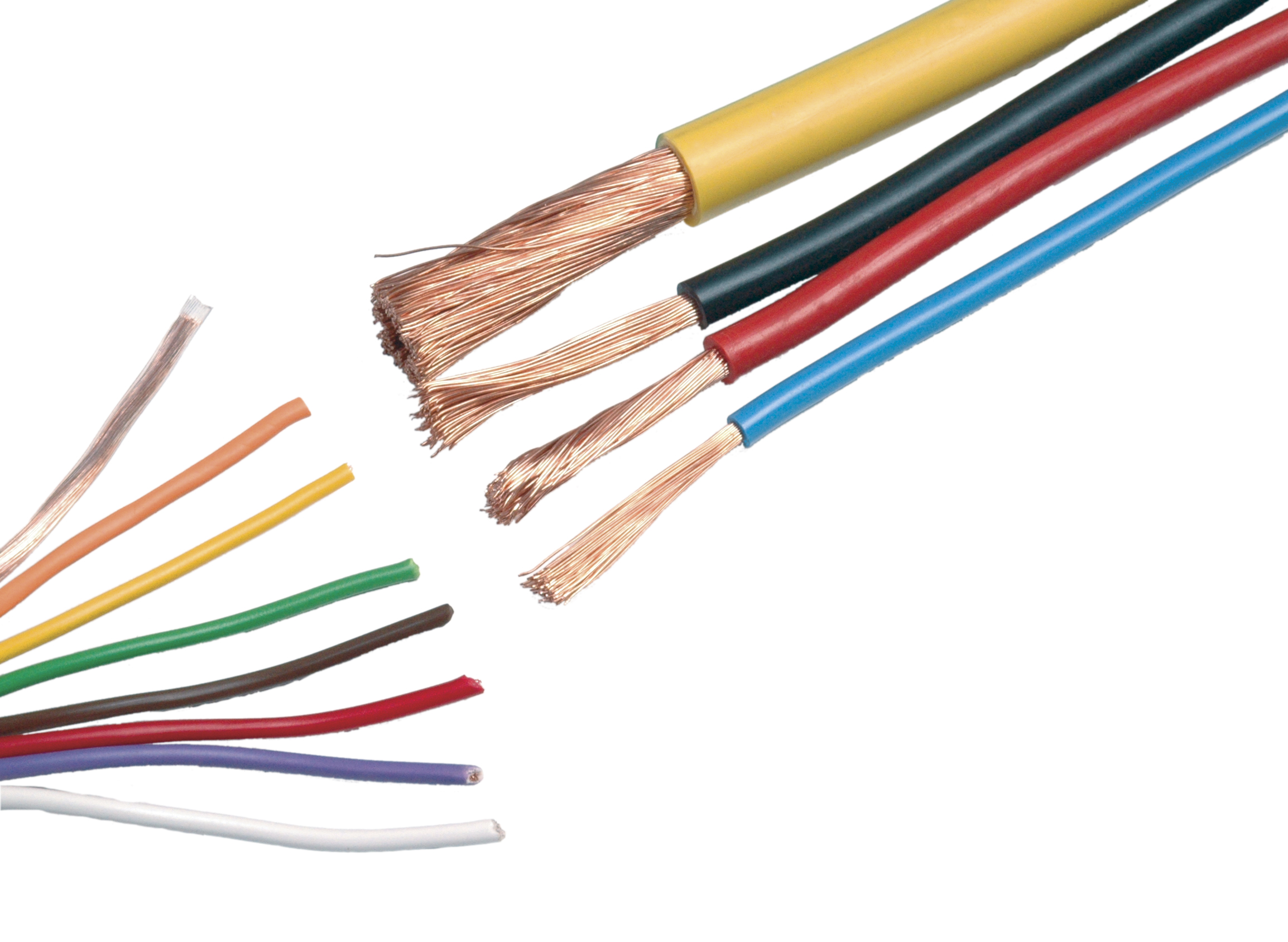 supplier electrical