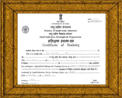 Certificate of Training